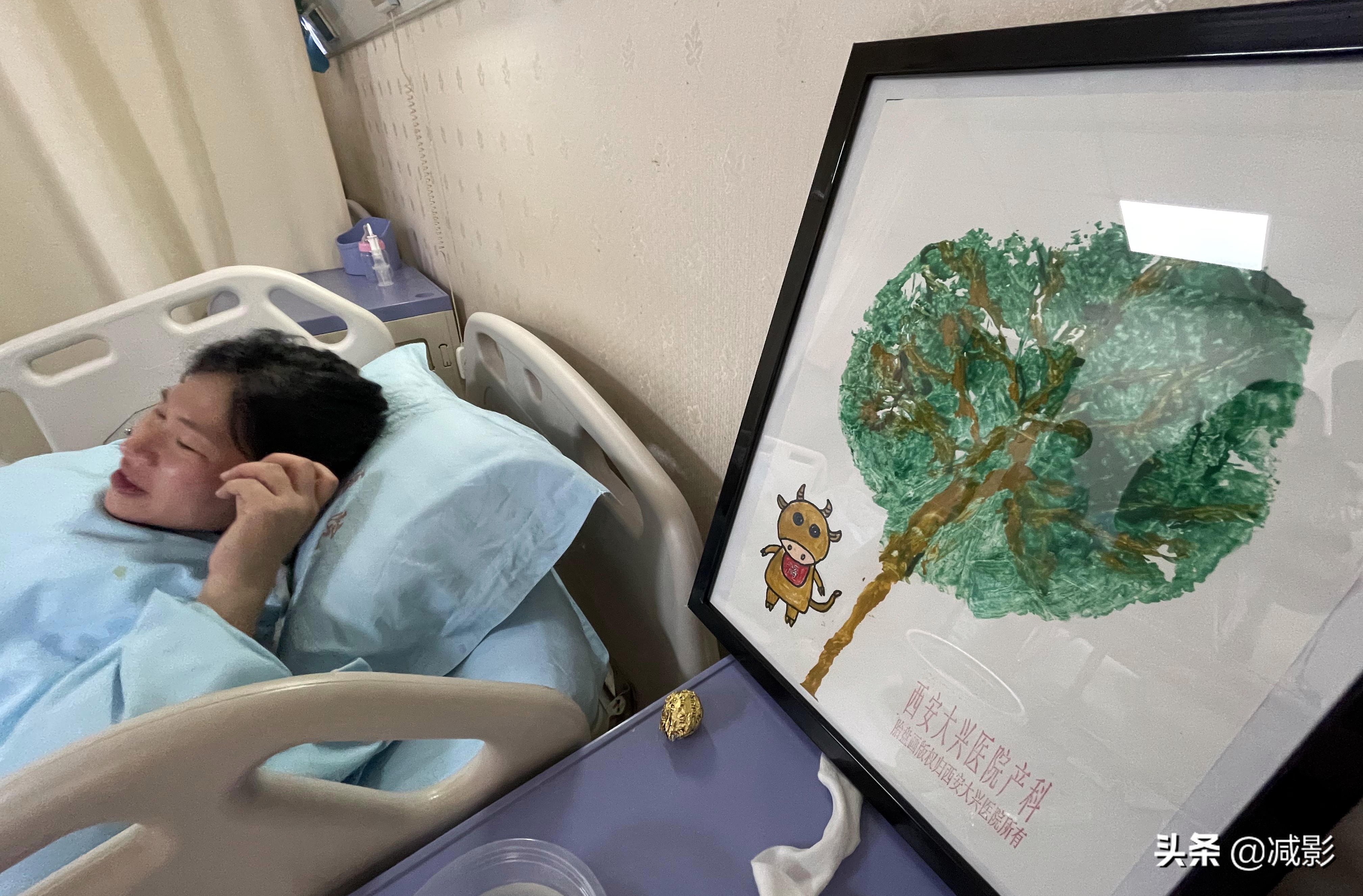 护士用胎盘作画，绘成“生命树”免费送新生儿父母