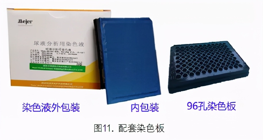 尿液有形成分分析的应用进展,尿液染色方法