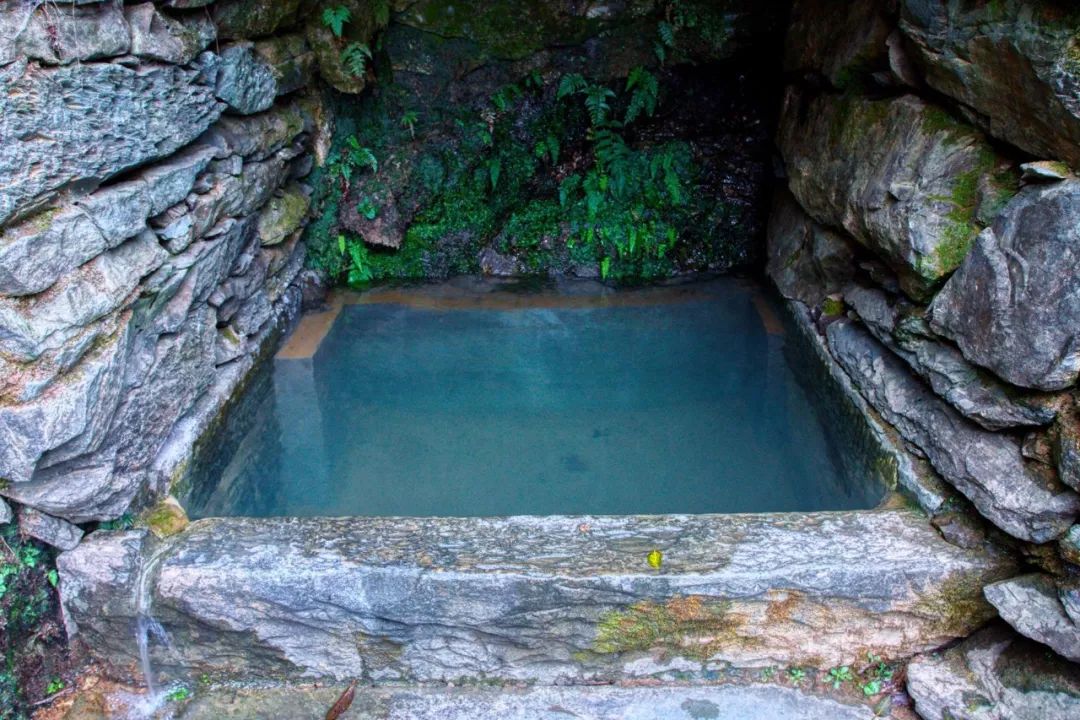 秘境蜘蛛恐惧症任务,破碎之地秘境剧毒蜘蛛怎么打