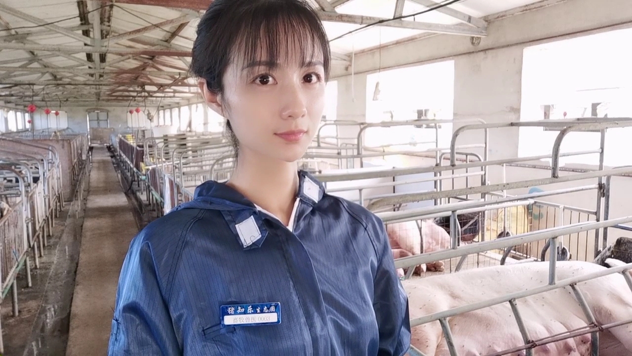 猪场管理实用技巧如何预防猪病,养猪疾病预防书籍