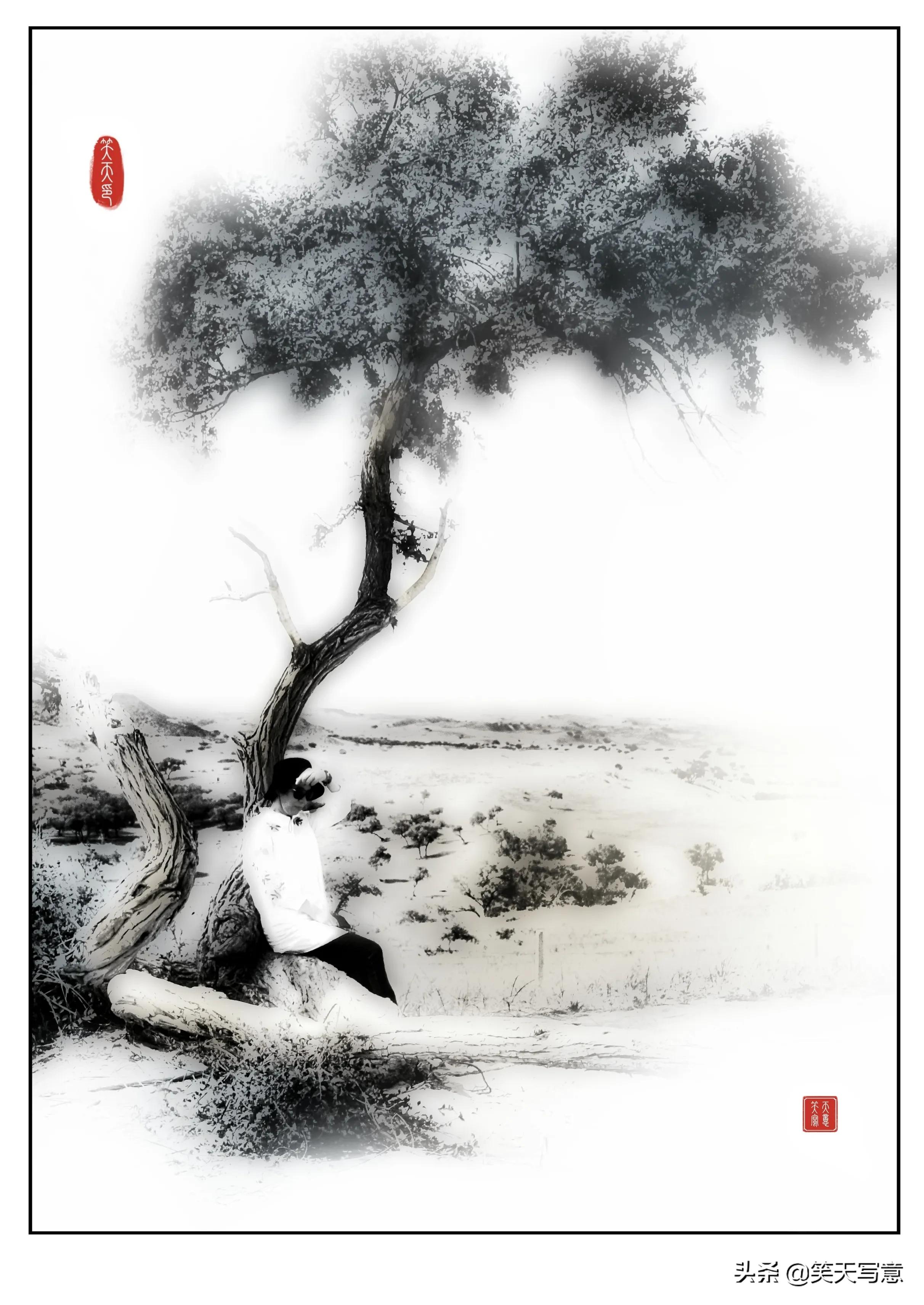 如何用snapseed制作1寸照片,snapseed制作水墨山水画教程