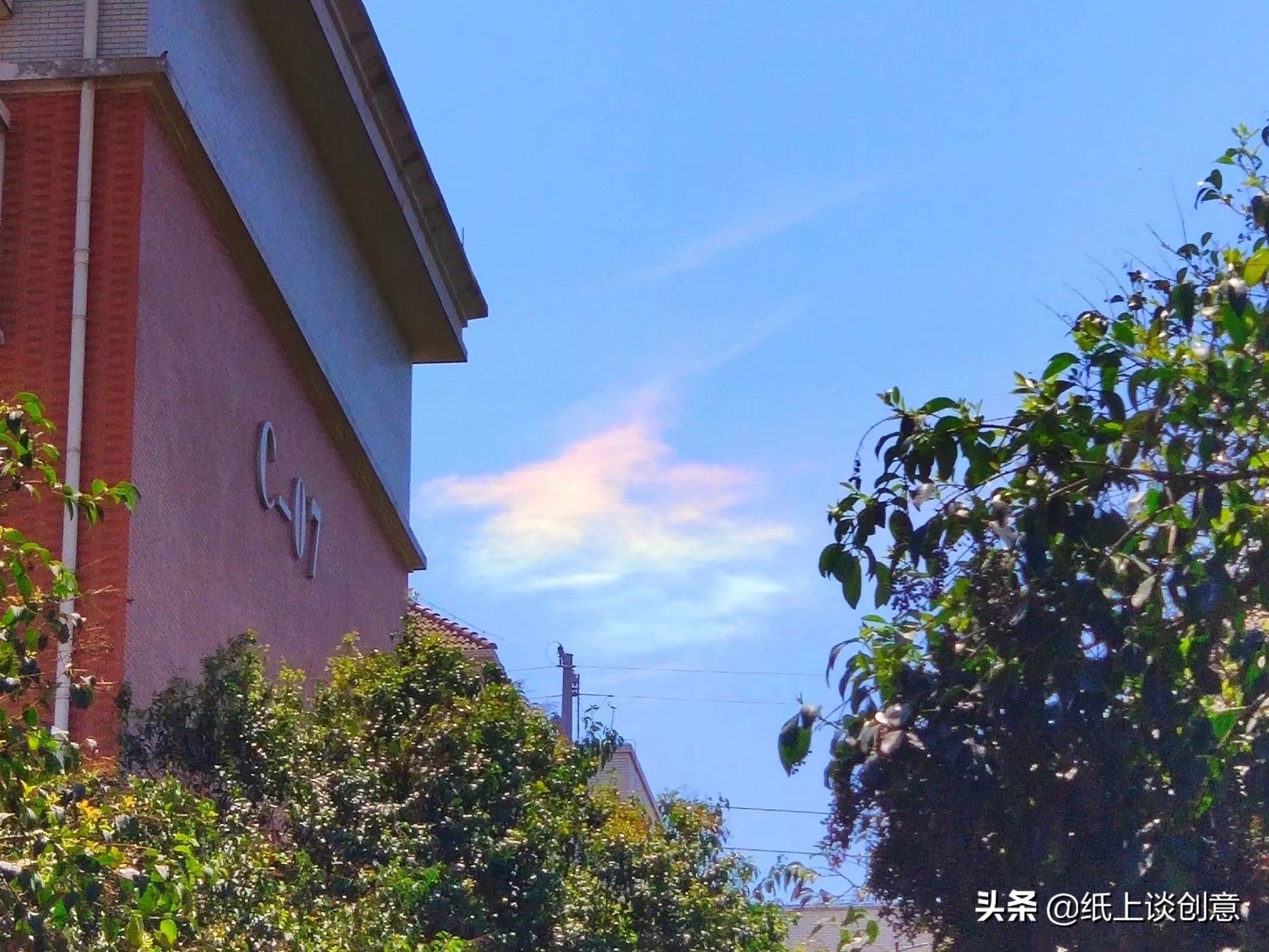 新乡学生返校,河南省新乡大学生返校时间最新