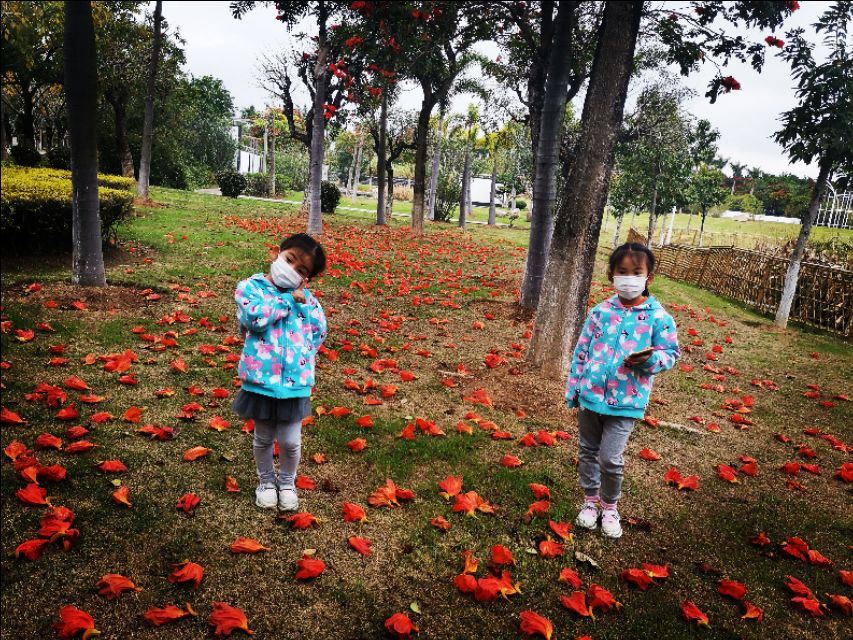 厦门园博苑带娃游玩攻略,厦门遛娃公园