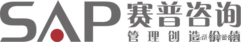 赛普咨询大运营,赛普咨询是做什么的
