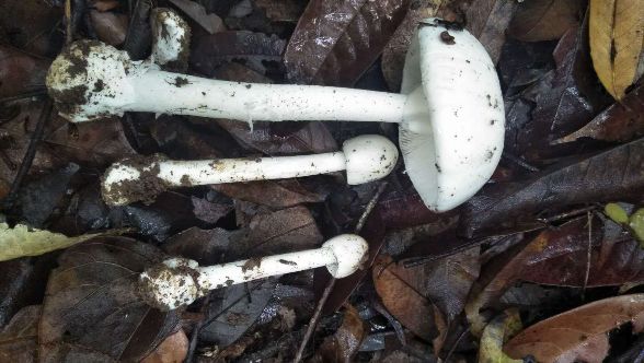 又有3人转入深圳市三医院，元凶却不是“新冠”！