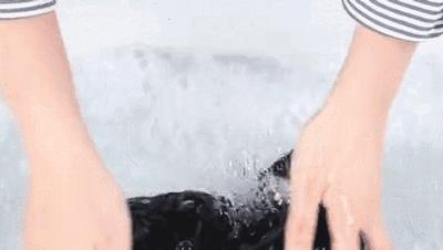 这条打*裤底**堪称裤子界小米,燃脂提臀还滋润身体,重点是自带磁疗