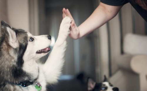 品牌加盟店连锁店排行榜,加盟店十大品牌