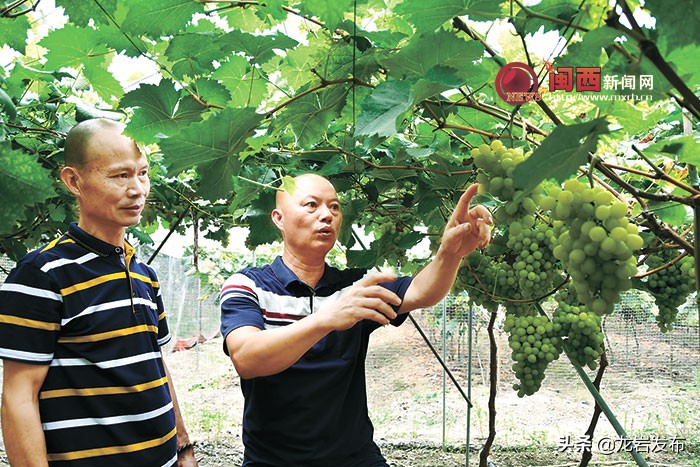 携手脱贫路共圆小康梦