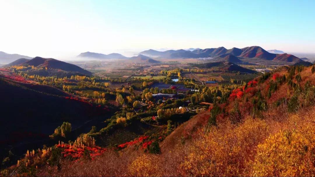 东北五里屯特产排行榜前十名,龙湾特产必买清单