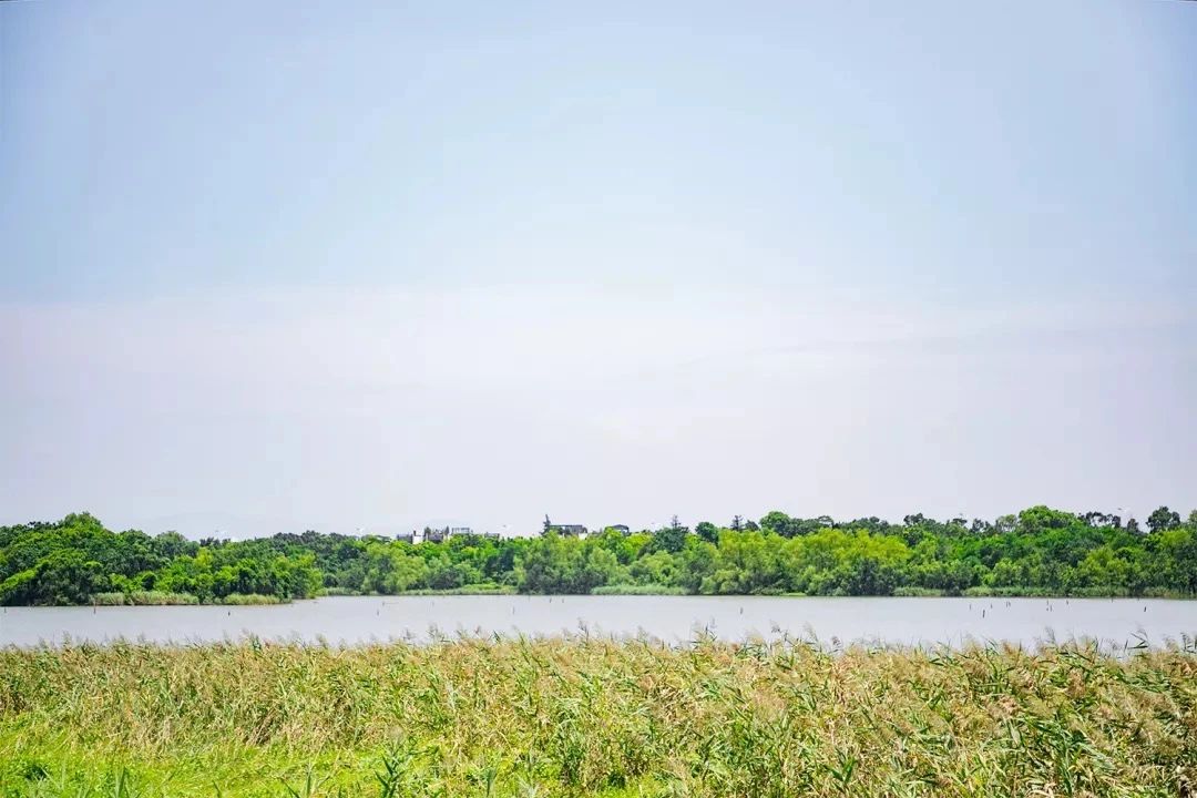 天下最美湖泊西湖,比西湖更美的湖泊