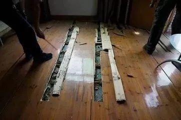 【吓人】太多多多……了！最近很多人被吓得不敢开灯，只因它又来袭