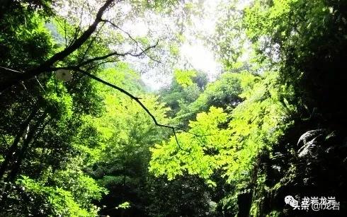 龙岩清凉避暑好去处,龙岩拍照有氛围感的地方