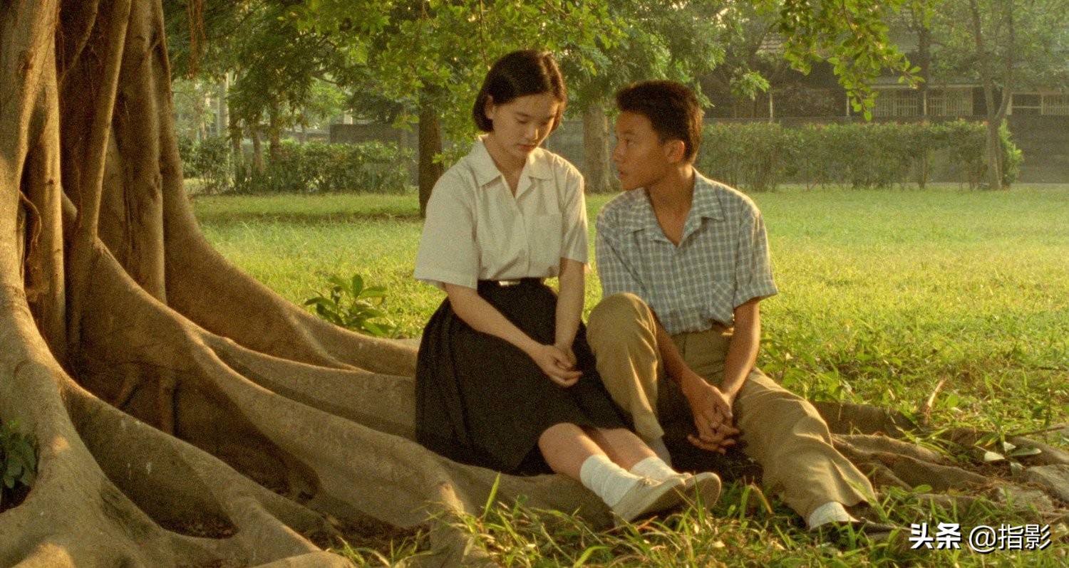 2015香港华语电影票房前十,香港华语片票房top1