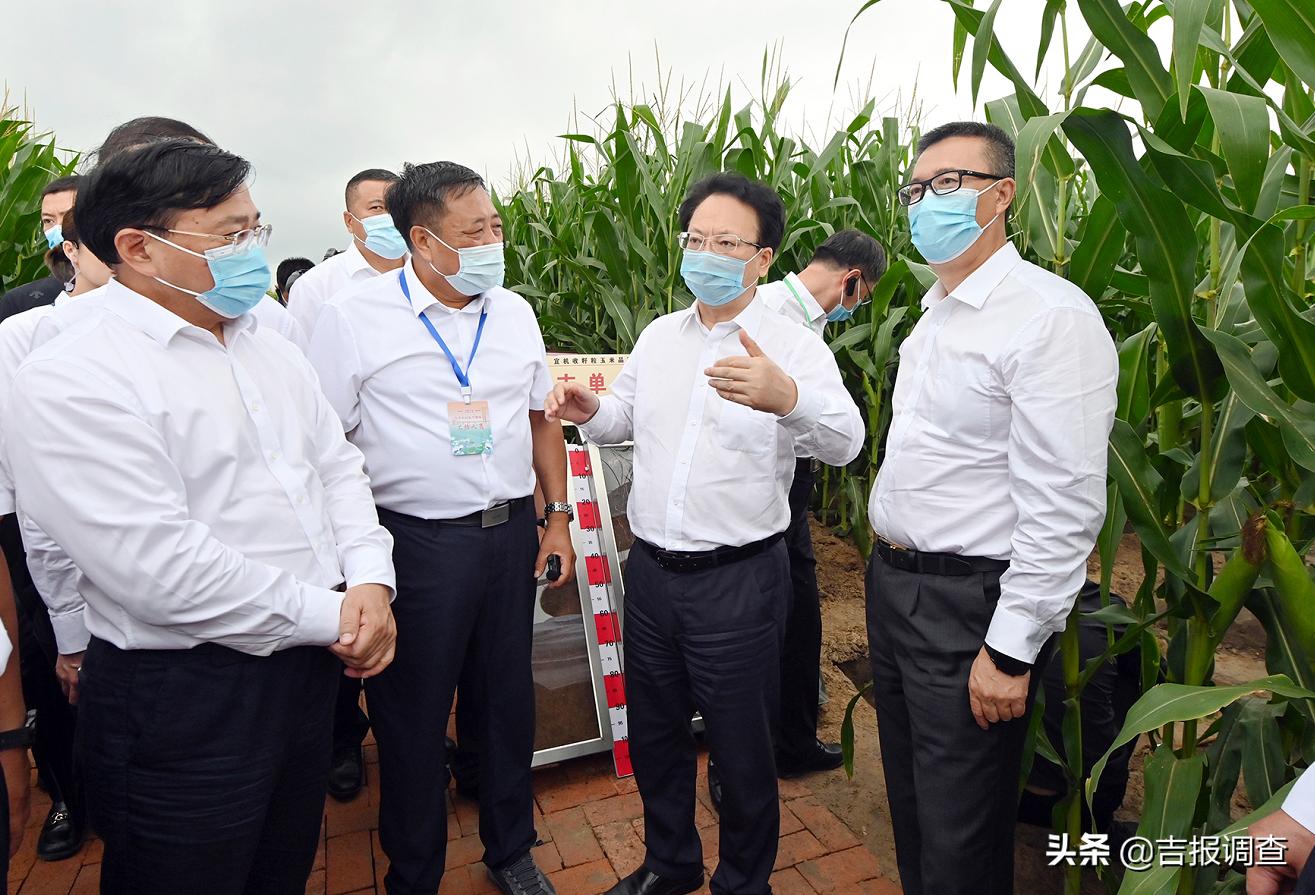 夯实筑牢“三农”基础，坚决保障粮食安全！全省实施乡村振兴战略现场推进会议在松原举行
