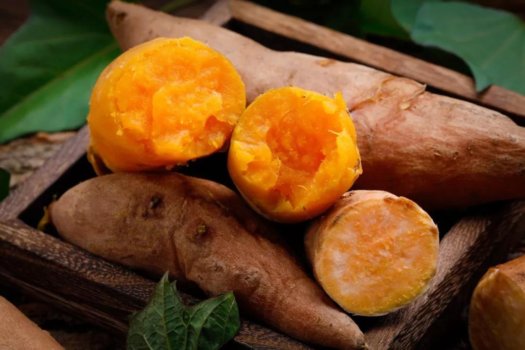 中医常说的发物有哪些,中医所说的发物到底是什么