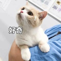 梦想世界3噬星魔龙,梦想世界3d仙兽套装