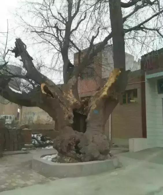 孟津平乐镇古村寨,孟津十大古镇排名