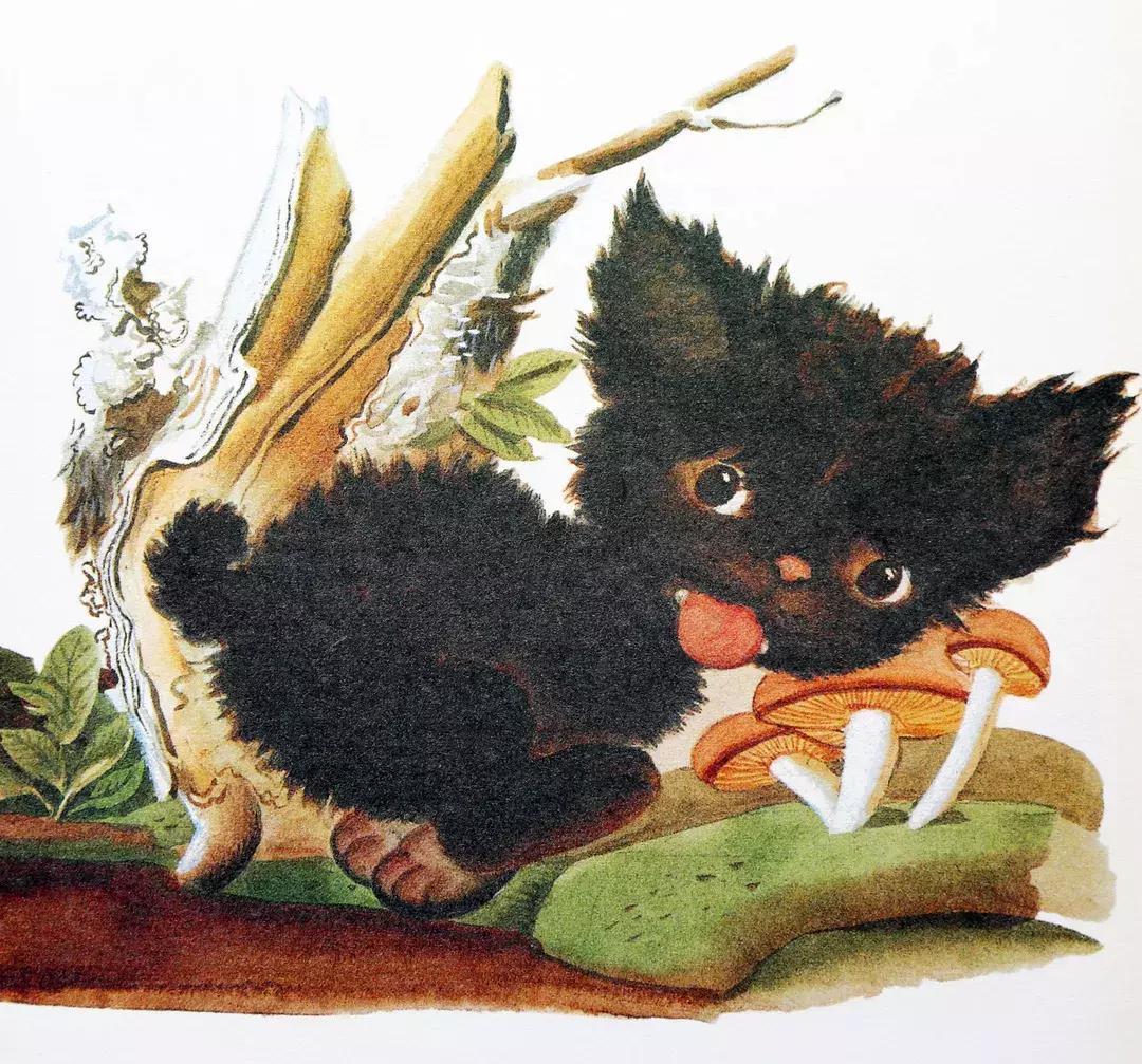 羞答答的小猫绘本故事,绘本阅读有趣的小猫