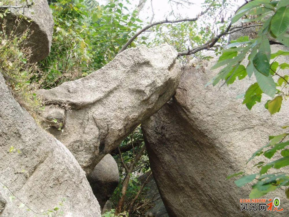 浪漫七夕相约海岛,浪漫七夕在最美的年华里遇到你