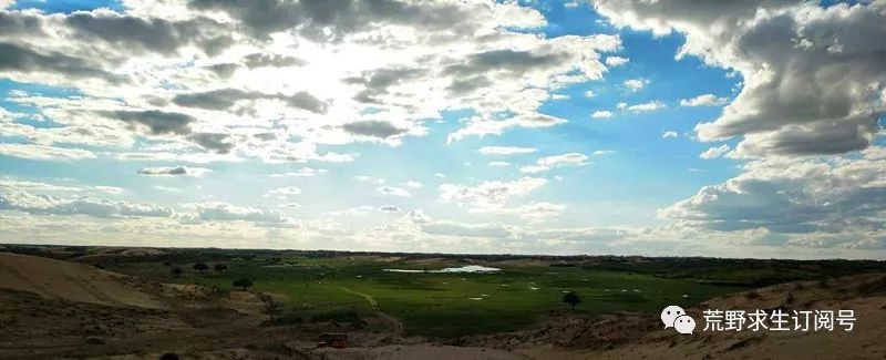 仙人掌在沙漠里是怎么生存下来的,在沙漠怎么才能活下来