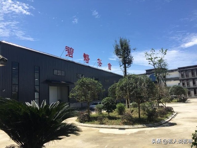 邛崃绿色产业园,邛崃碧涛茶厂