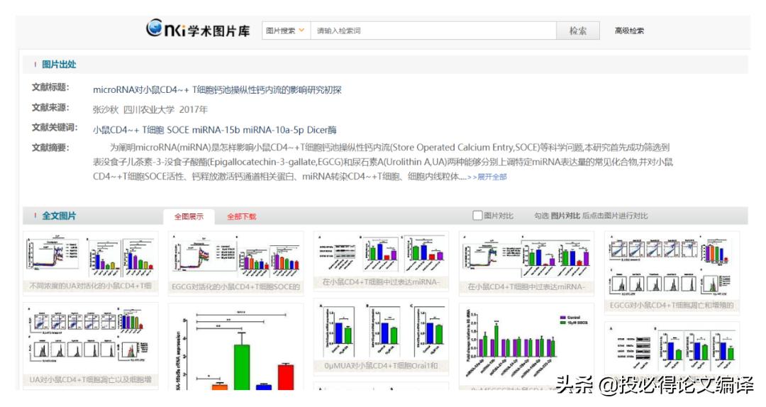 文献检索工具主要有以下几种类型,文献检索的搜索技巧