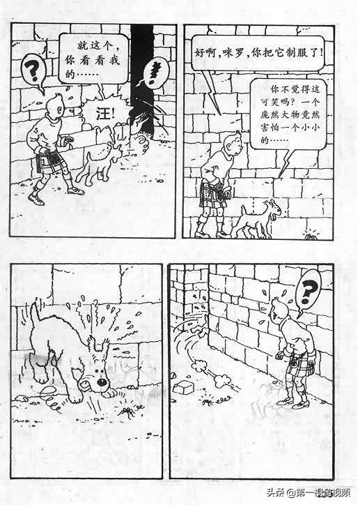 丁丁历险记刚果完整版,丁丁历险记西藏