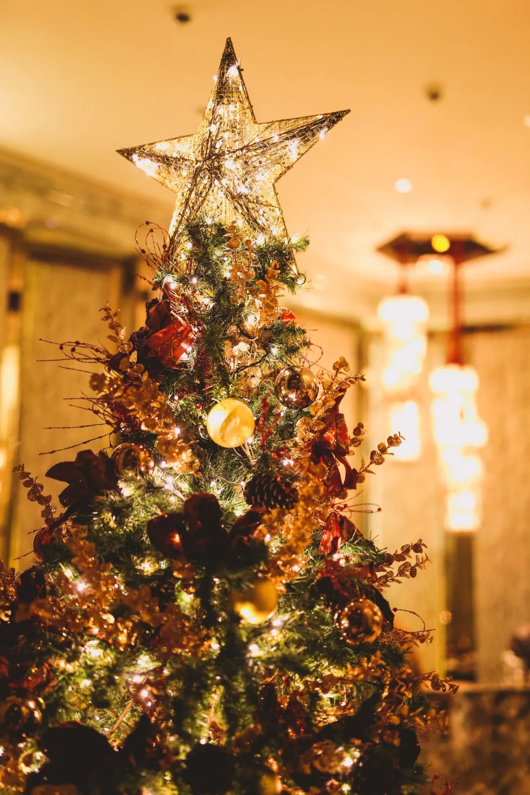 上海哪里圣诞树最好,上海千树圣诞树