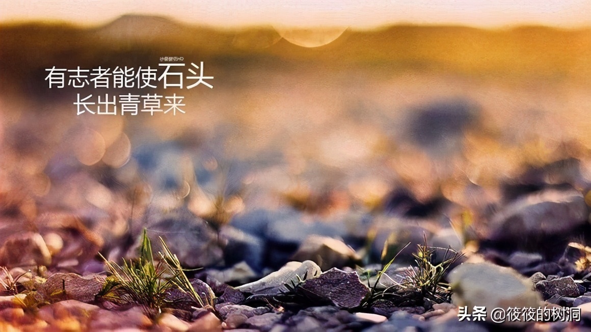 找工作迷茫时怎么选择工作,一般找工作的职业规划是什么