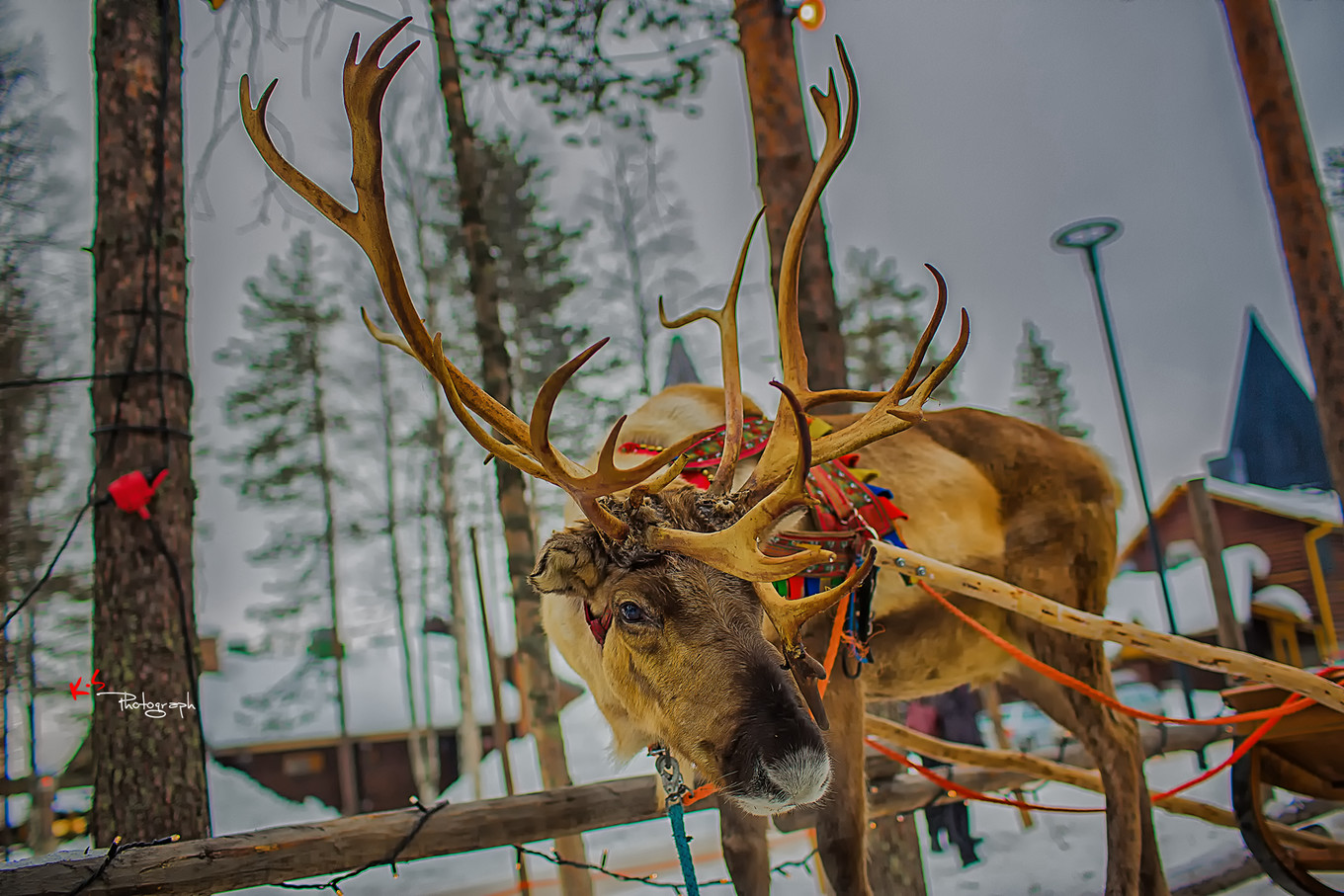 果小姐的慢生活之冰雪奇缘