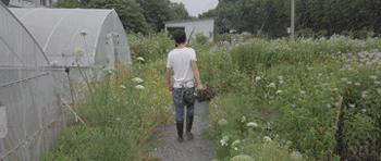 最会说情话的人全集,最会说情话的人