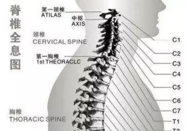 名医治疗颈椎病的最好方法,治颈椎病的中药一副100块贵吗