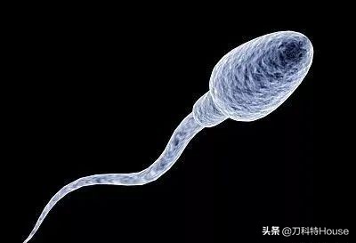 幽门螺杆菌会导致不孕吗,感染幽门螺杆菌的几率有多大