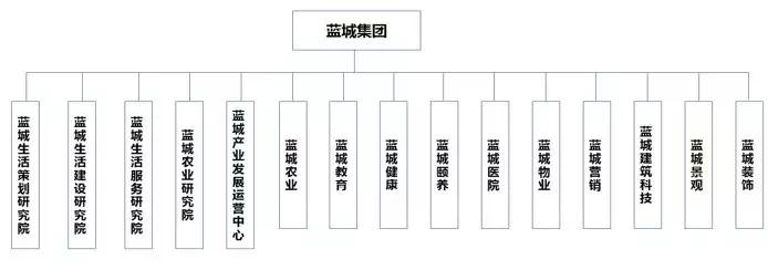 蓝城文旅集团董事长,蓝城文旅集团