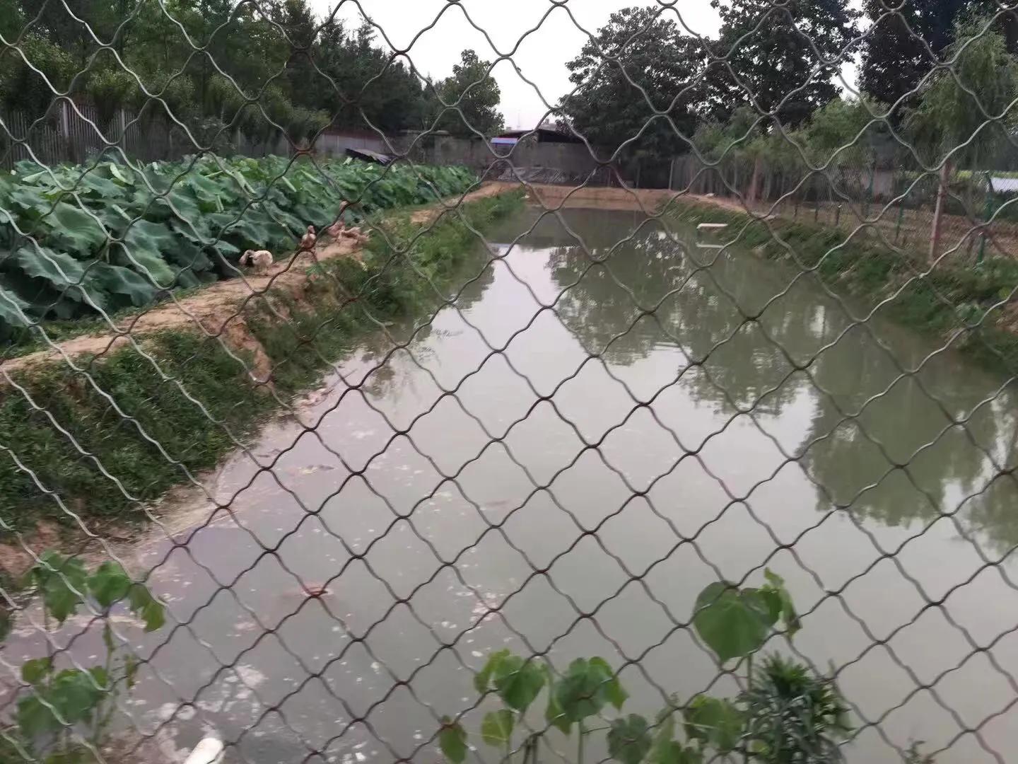 让孩子流连忘返的幼儿园,充满野趣的幼儿园