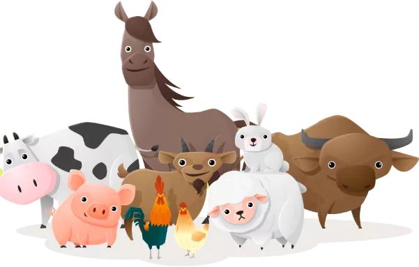 说文解字第3讲,说文解字第三篇