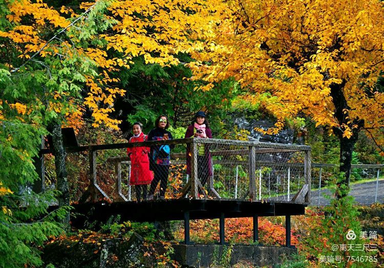 漫步魁北克体验不一样的北美风情,北美枫情蒙特利尔