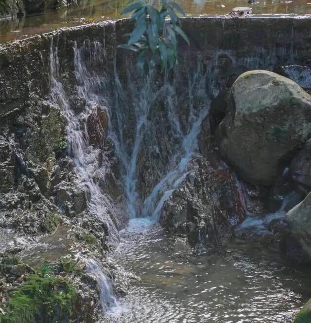 深圳海边最好的公园,深圳有几个靠海的公园