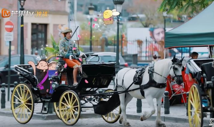 妻子的浪漫旅行最甜的一季,妻子的浪漫旅行谢娜做饭