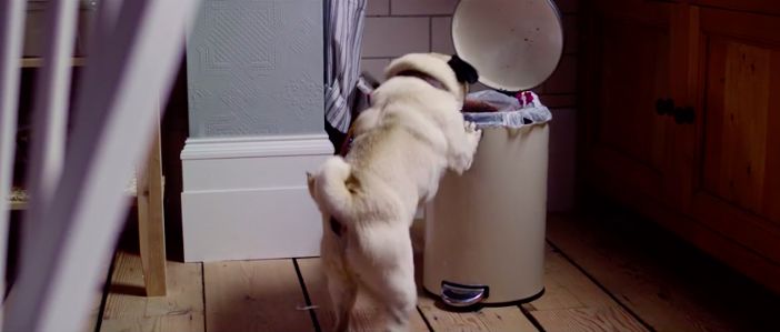 这个星期有啥好看的电影,这两天值得看的电影