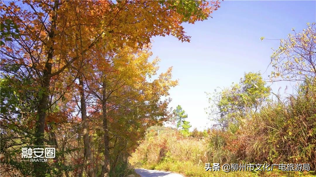 融安风景最好看的地方,融安十大游玩景点