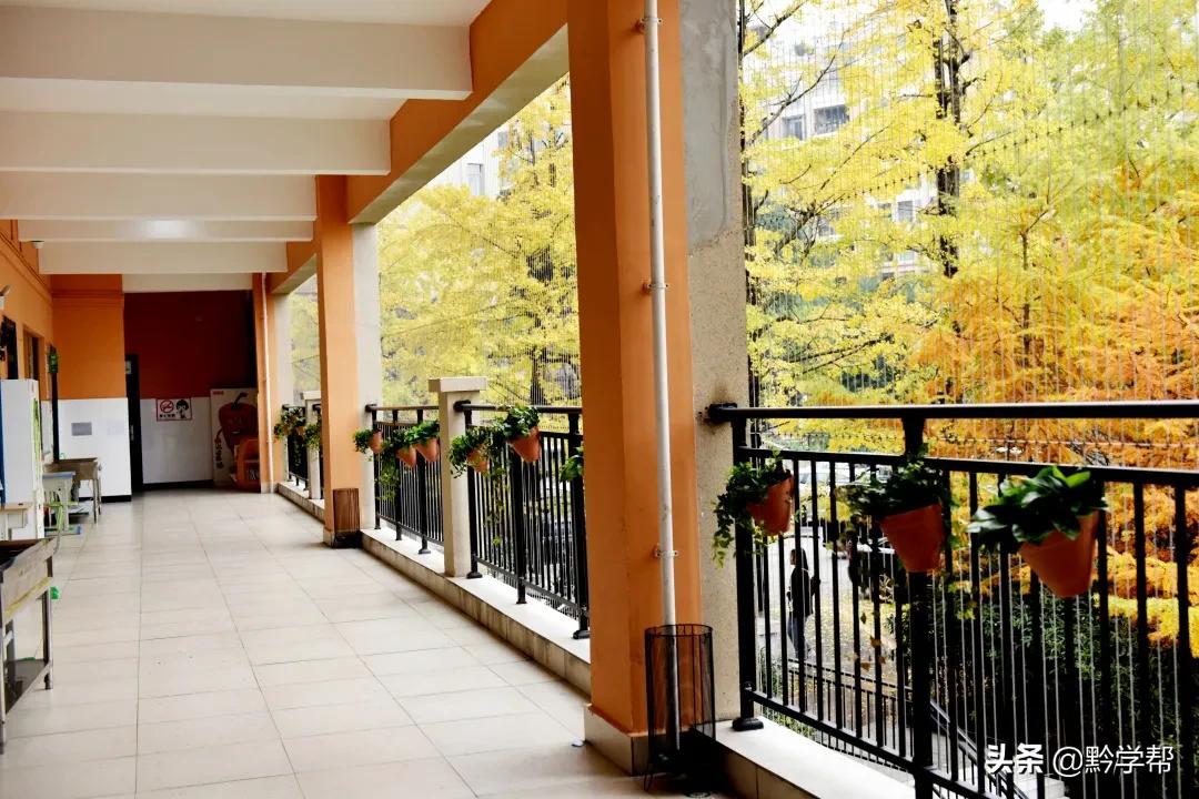 贵阳小学分校排名,贵阳小学总校和分校有区别吗