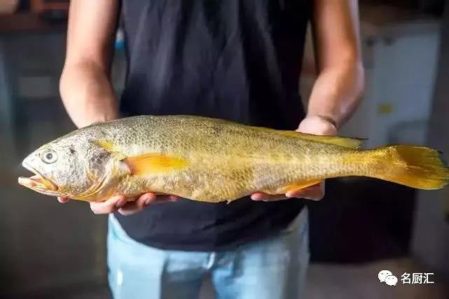 世界顶级十大海鲜,十大顶级海鲜价格排行榜