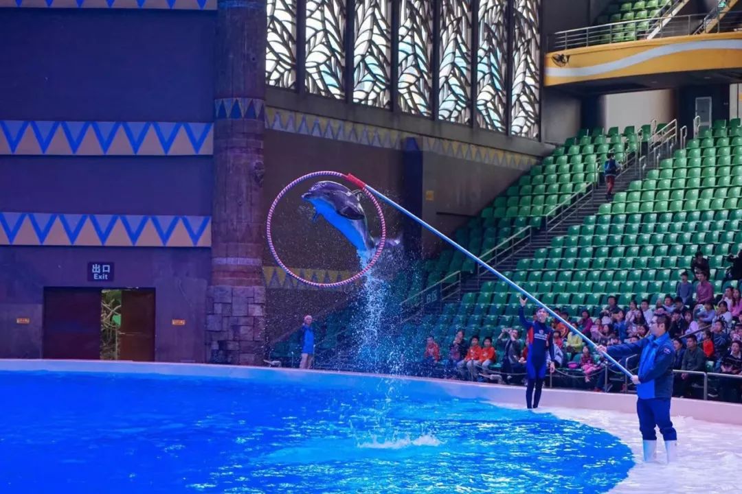 珠海哪里最值得去旅游,珠海哪里旅游比较值得去