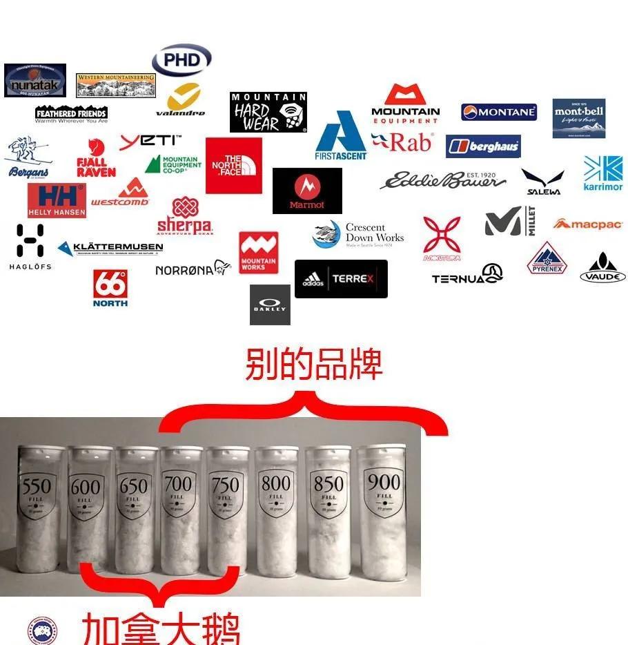 2023羽绒服品牌鄙视链,全球羽绒服鄙视链里国产在第几层