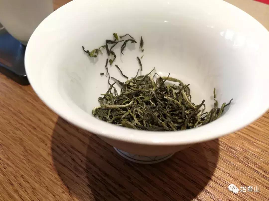 茶眼看陕西,茶眼看陕西最新视频