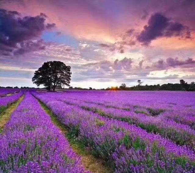 60个字满分作文,令阅卷老师眼前一亮的作文标题