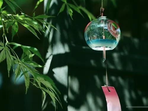 夏季祛暑吃什么养生茶好,小暑养生大全