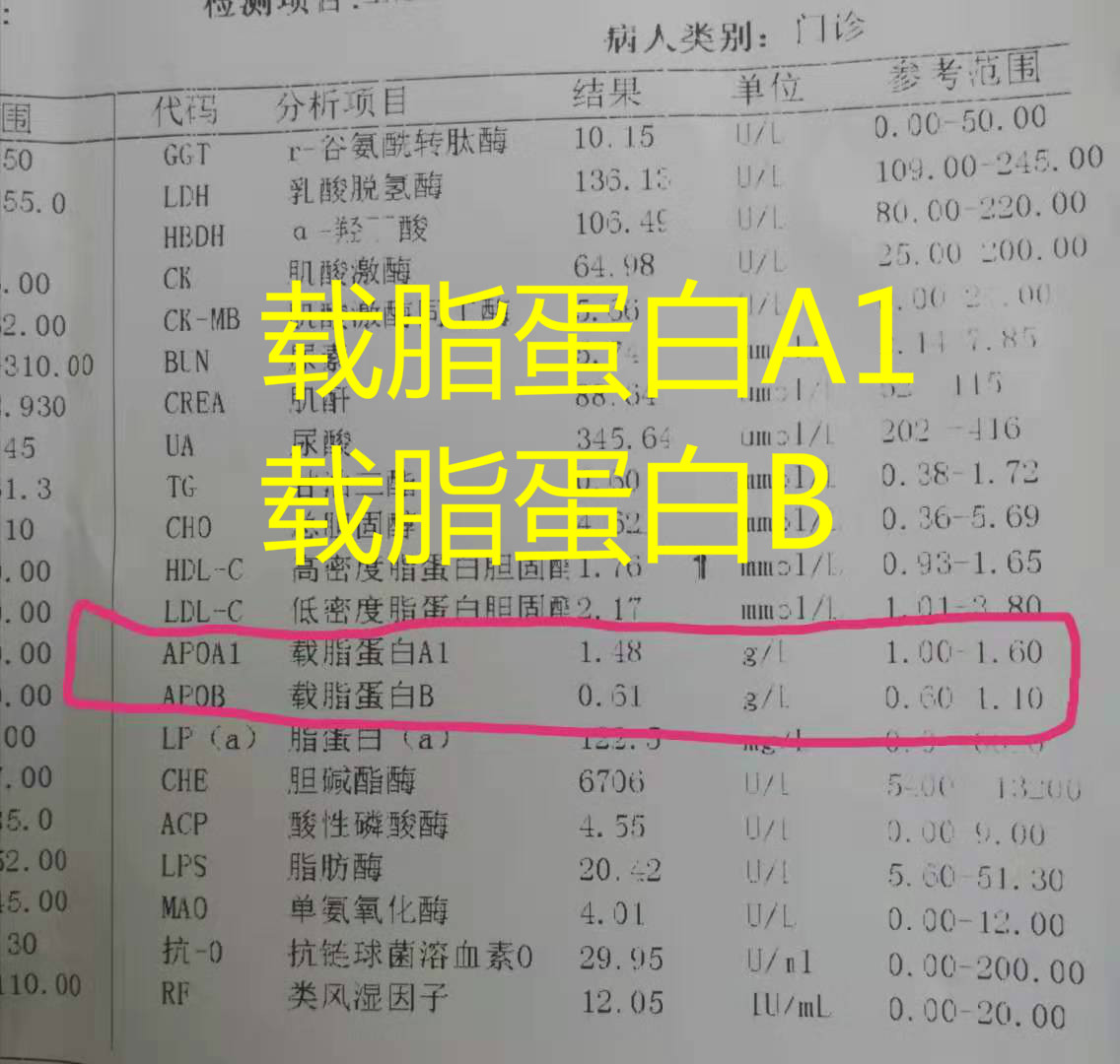 血脂检查单中载脂蛋白怎么看,载脂蛋白a1是指血脂吗