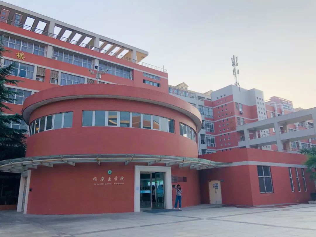 西安三大巨头,西安三巨头学校